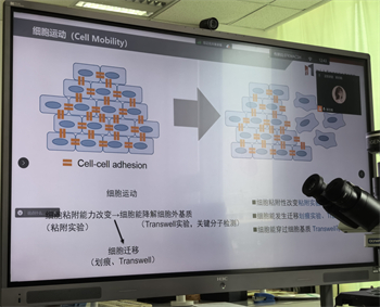 微信图片_20240620113752(1).jpg